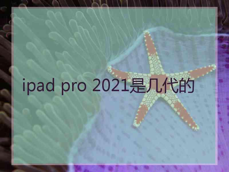 ipad pro 2021是几代的