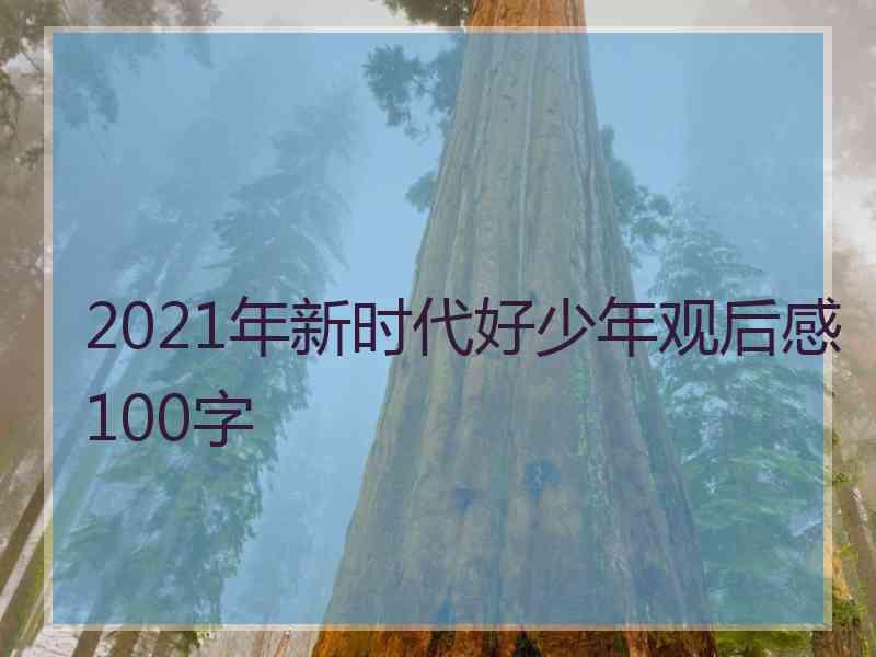 2021年新时代好少年观后感100字