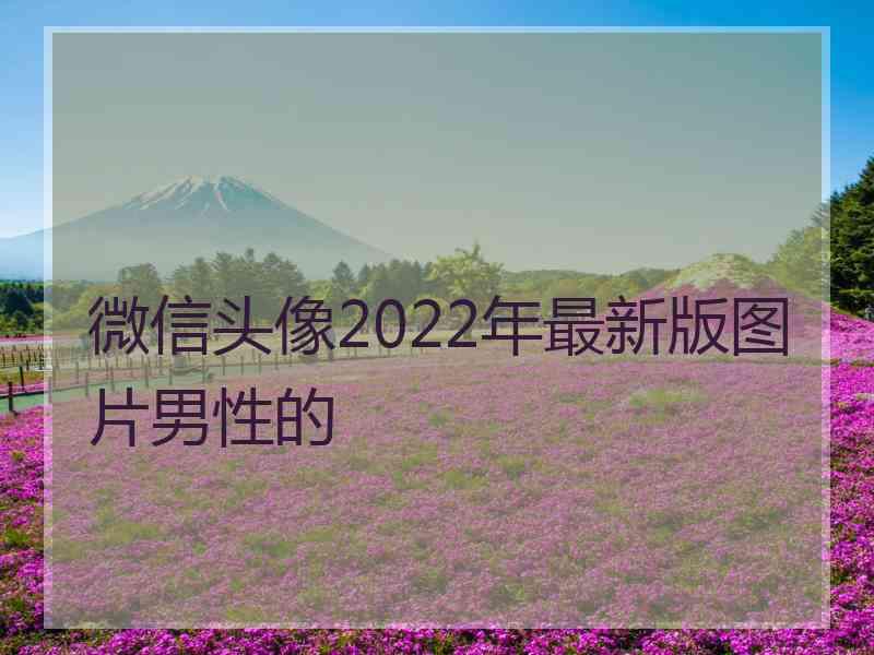 微信头像2022年最新版图片男性的