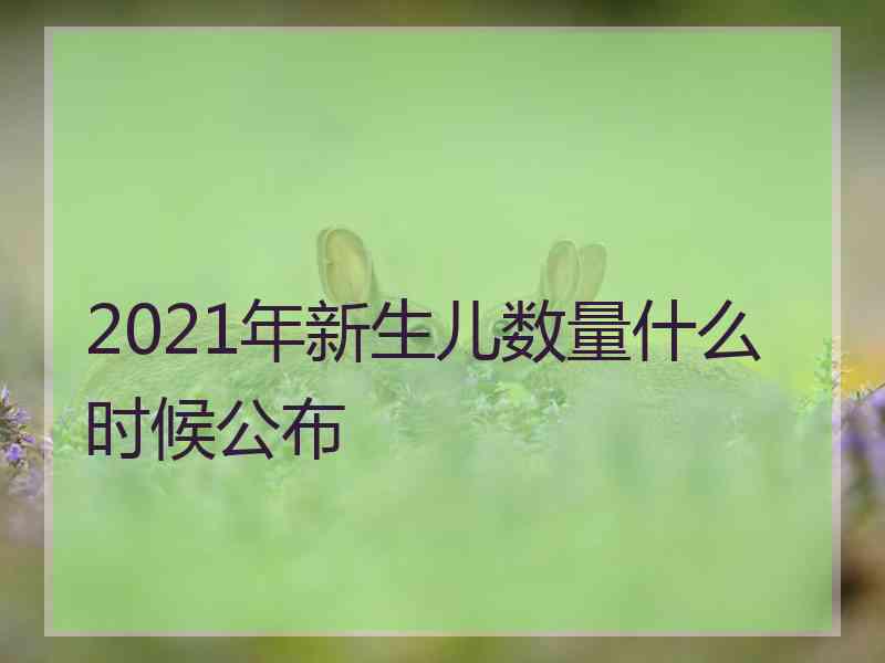 2021年新生儿数量什么时候公布