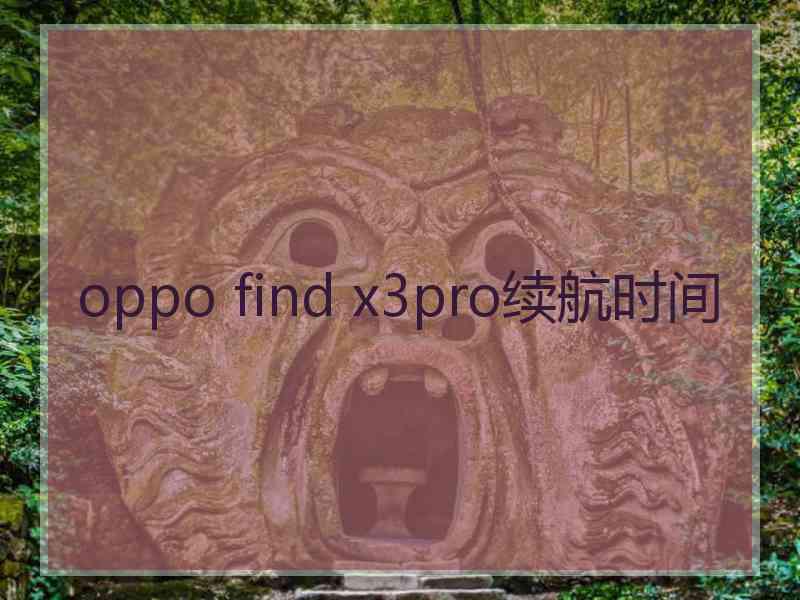 oppo find x3pro续航时间