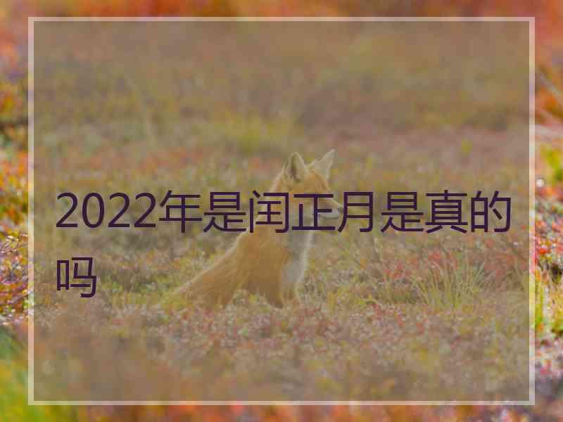 2022年是闰正月是真的吗