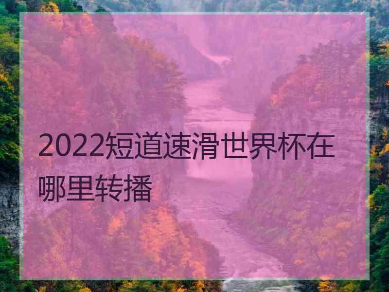 2022短道速滑世界杯在哪里转播