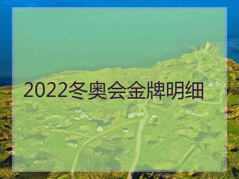 2022冬奥会金牌明细