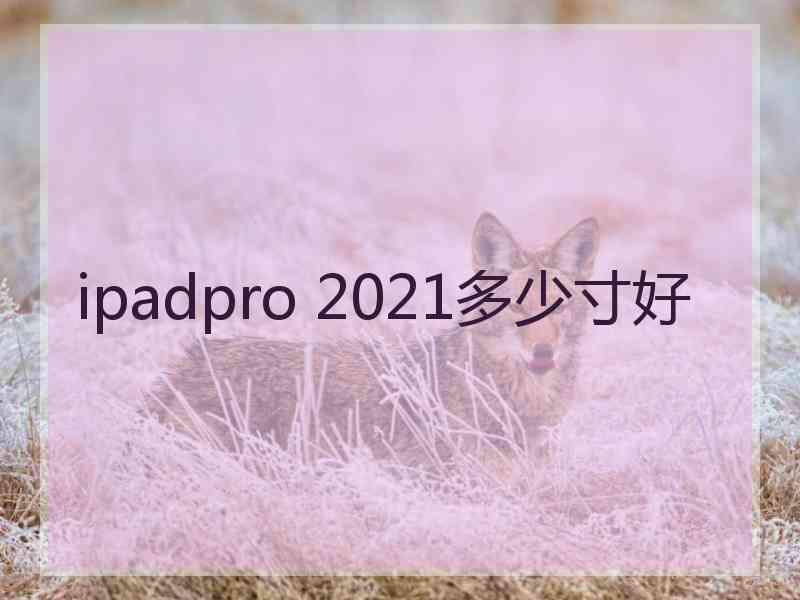 ipadpro 2021多少寸好