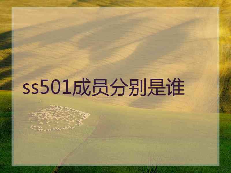 ss501成员分别是谁