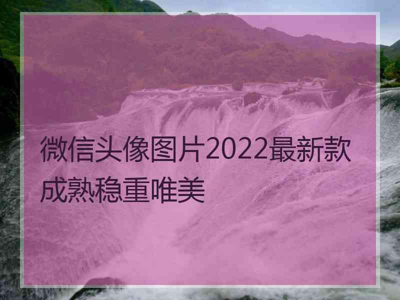 微信头像图片2022最新款成熟稳重唯美