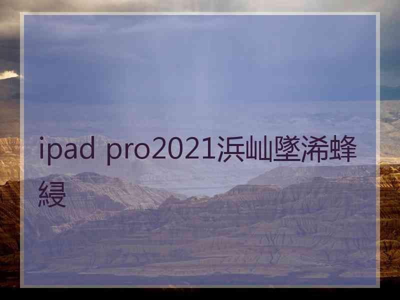 ipad pro2021浜屾墜浠蜂綅