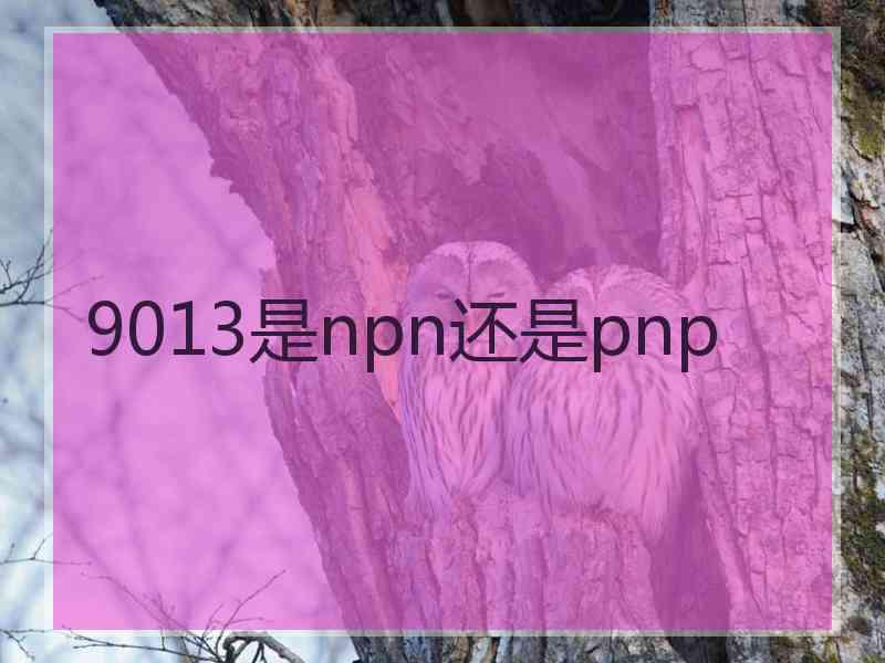 9013是npn还是pnp