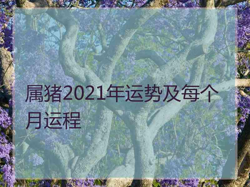 属猪2021年运势及每个月运程