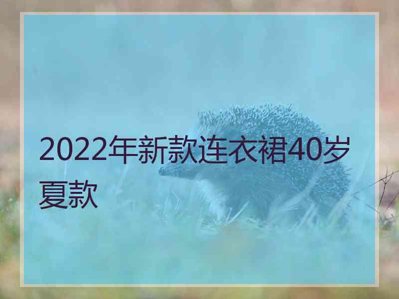 2022年新款连衣裙40岁夏款