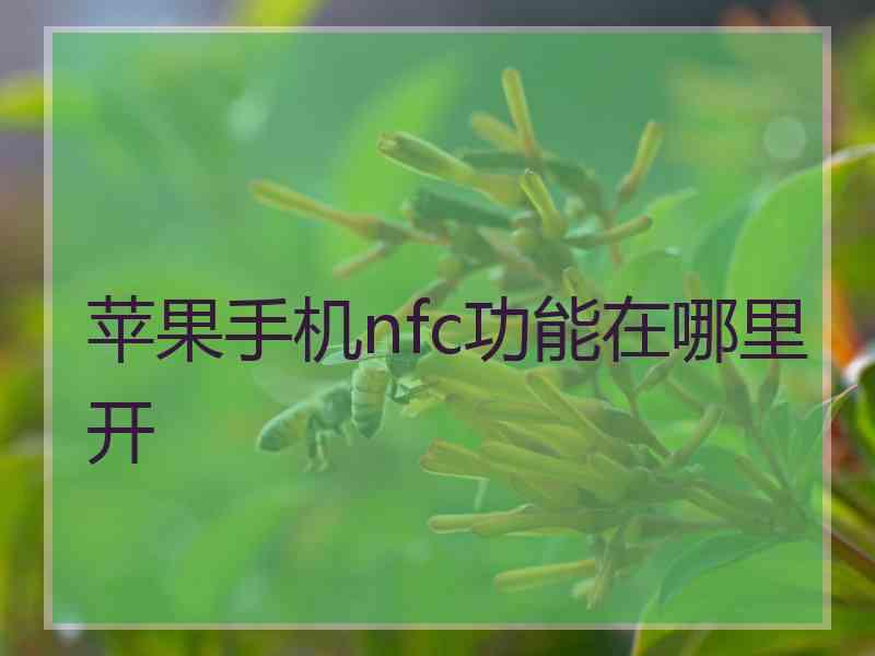 苹果手机nfc功能在哪里开