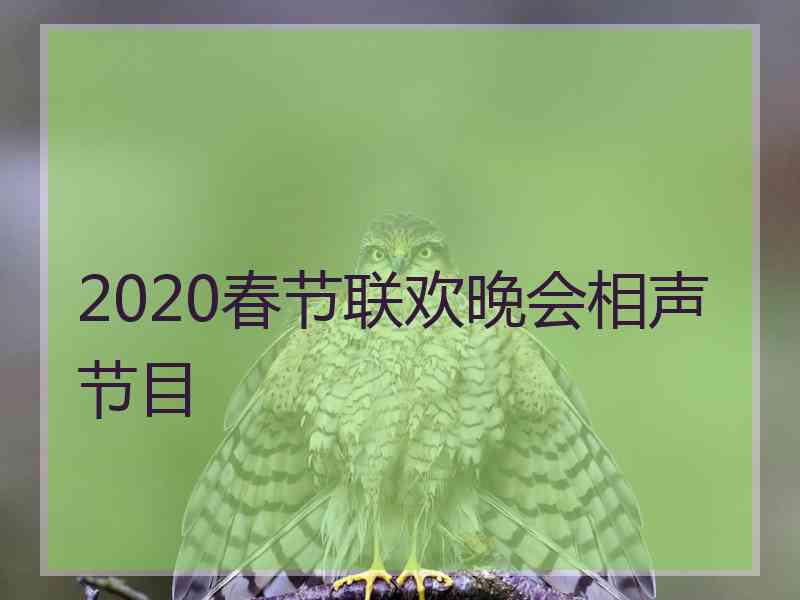 2020春节联欢晚会相声节目