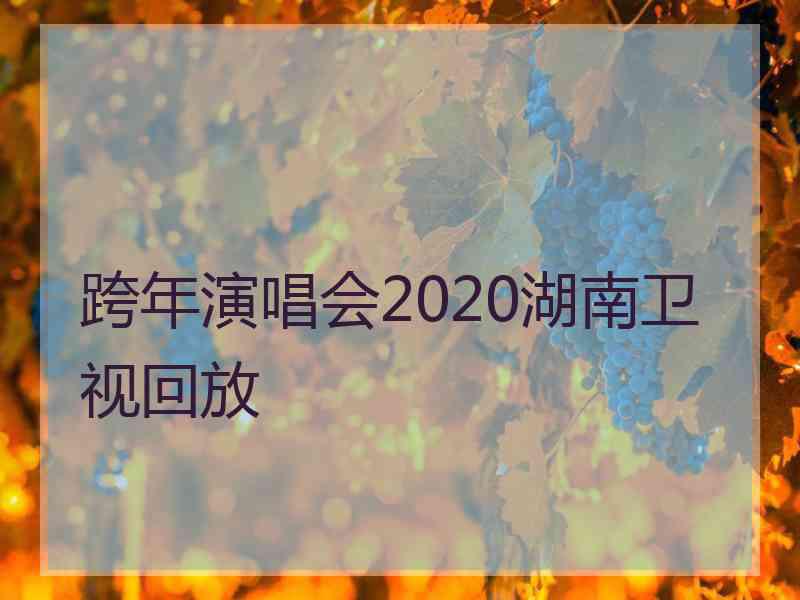 跨年演唱会2020湖南卫视回放