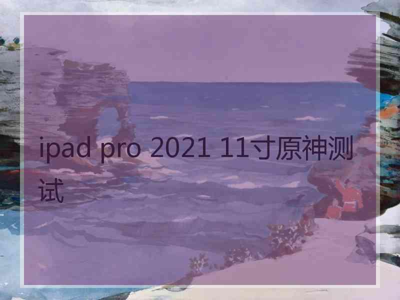 ipad pro 2021 11寸原神测试