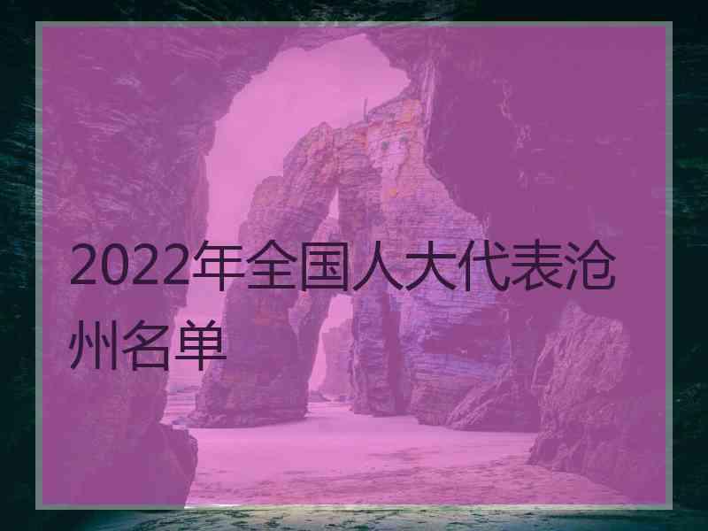 2022年全国人大代表沧州名单