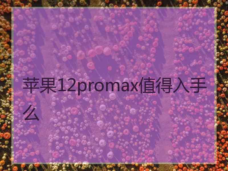 苹果12promax值得入手么