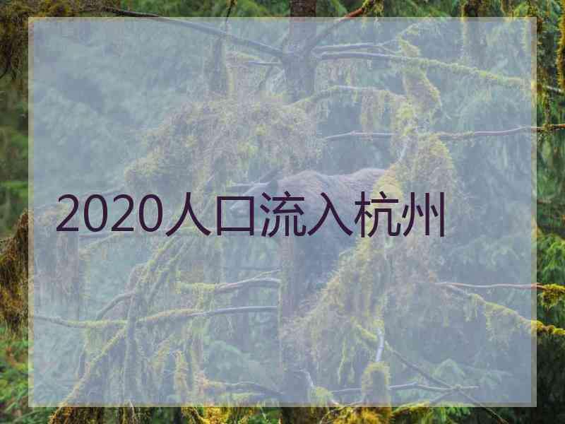 2020人口流入杭州