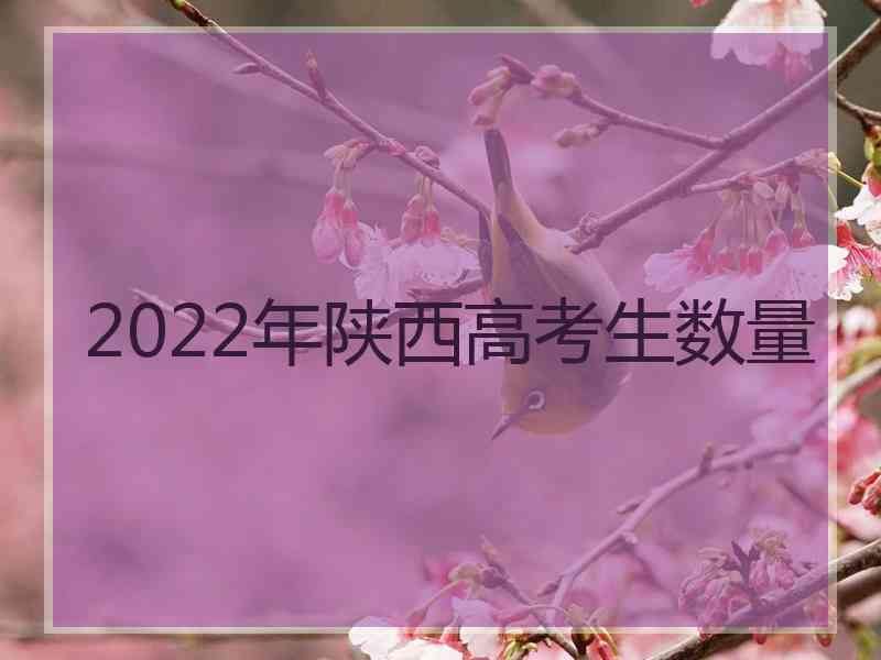 2022年陕西高考生数量