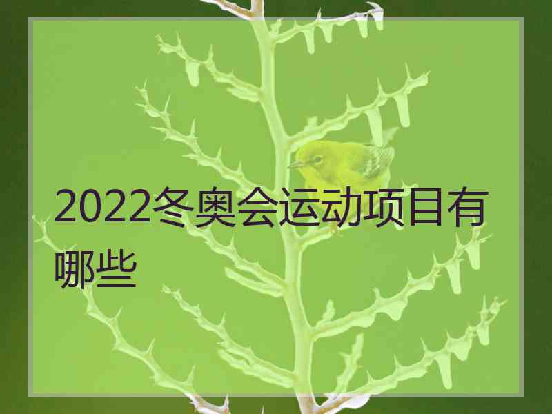 2022冬奥会运动项目有哪些