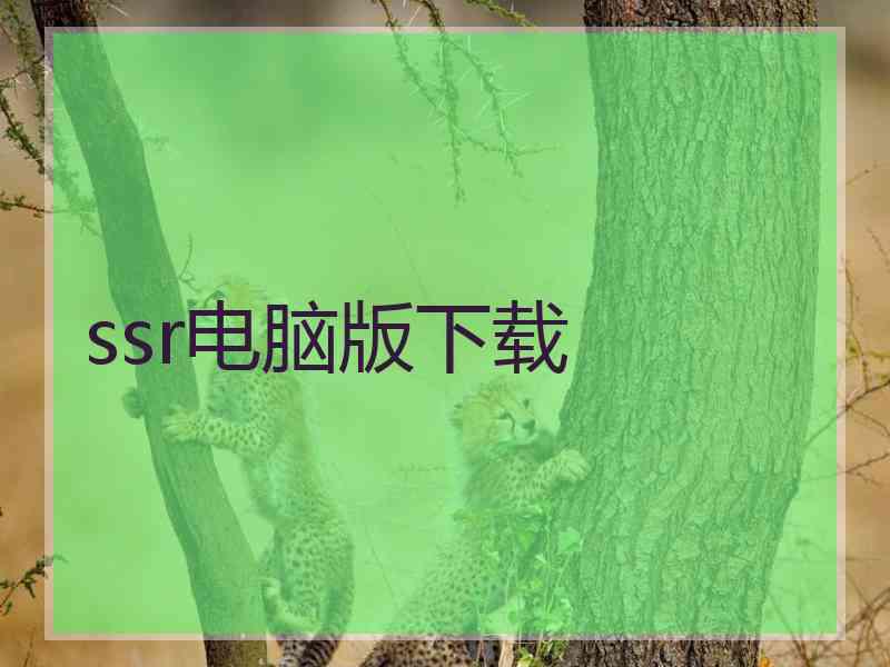 ssr电脑版下载