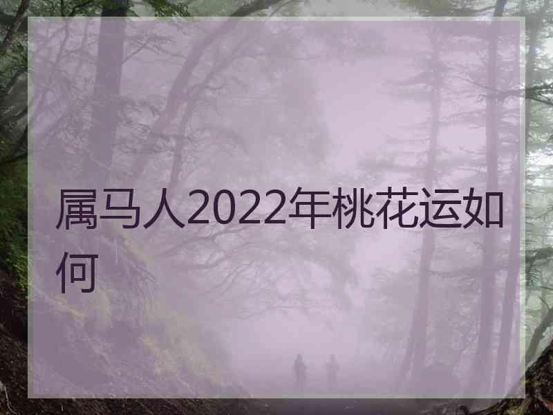 属马人2022年桃花运如何