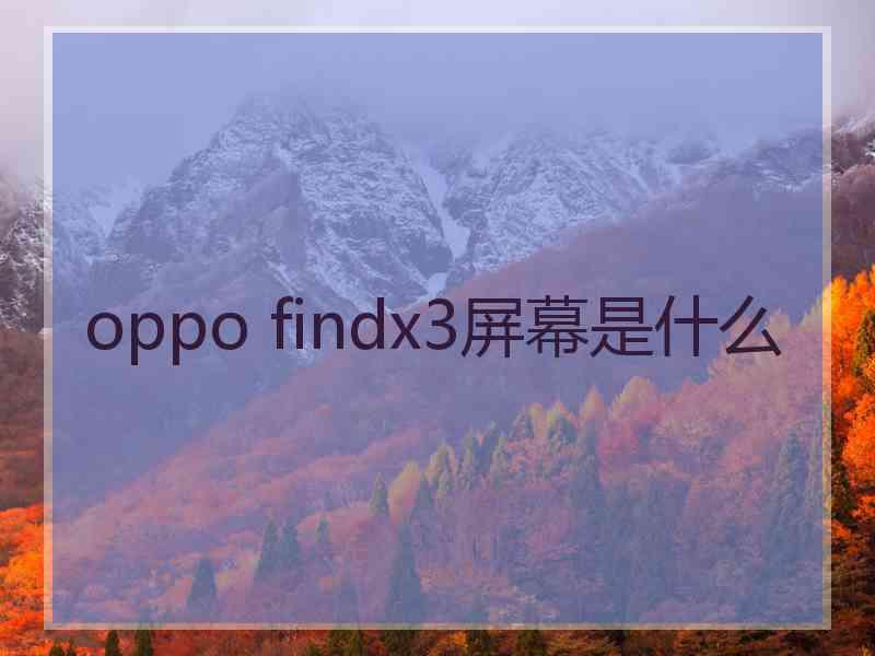 oppo findx3屏幕是什么