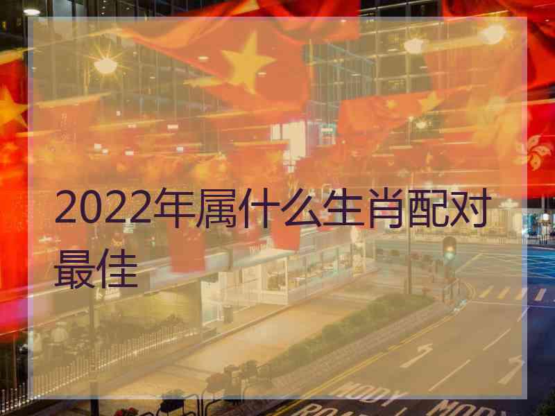 2022年属什么生肖配对最佳