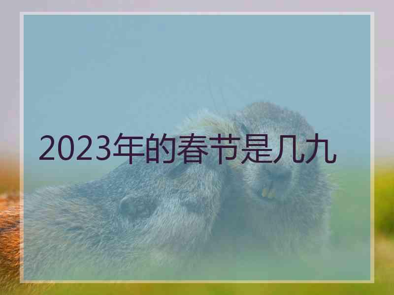 2023年的春节是几九