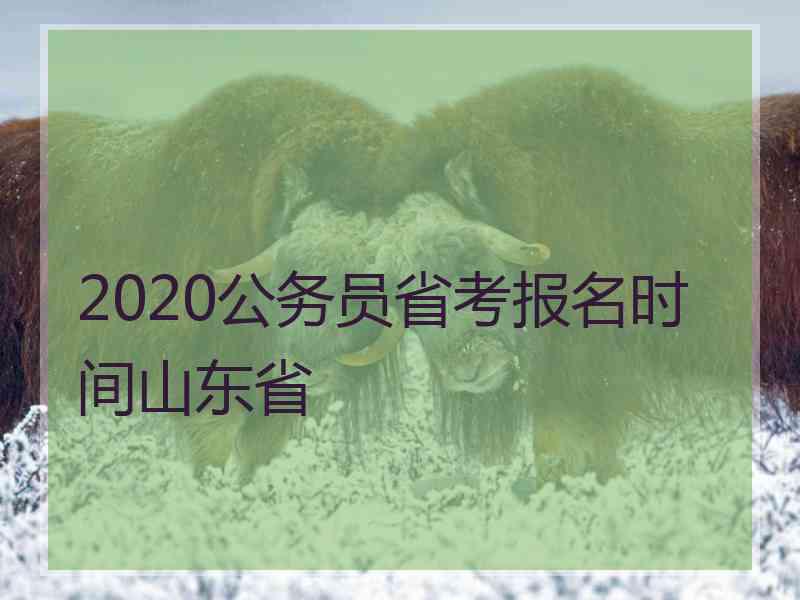 2020公务员省考报名时间山东省