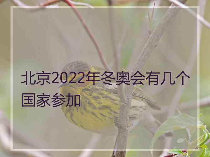 北京2022年冬奥会有几个国家参加