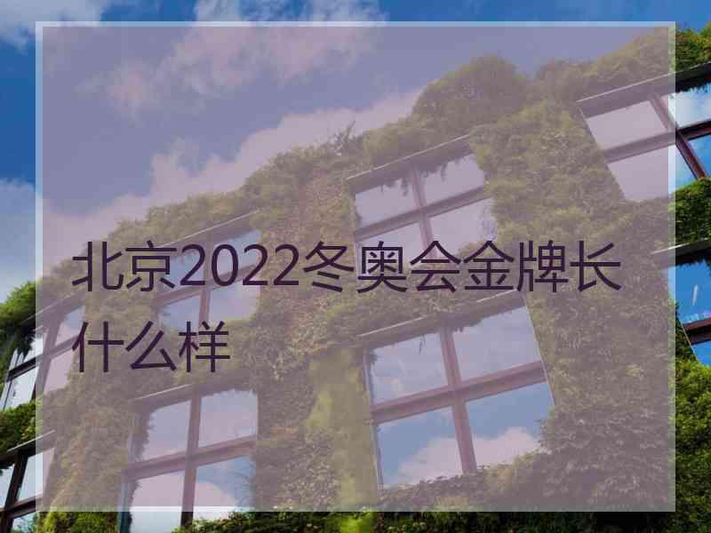 北京2022冬奥会金牌长什么样