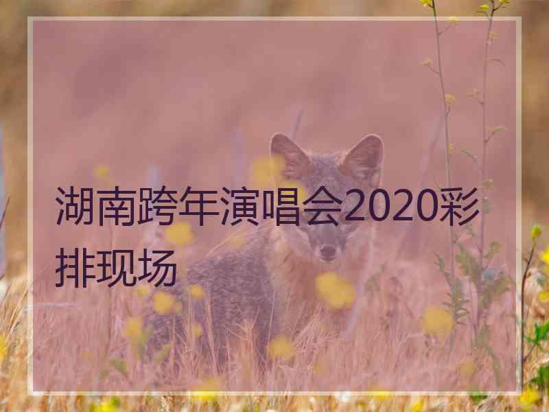 湖南跨年演唱会2020彩排现场