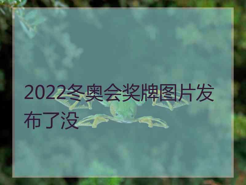 2022冬奥会奖牌图片发布了没