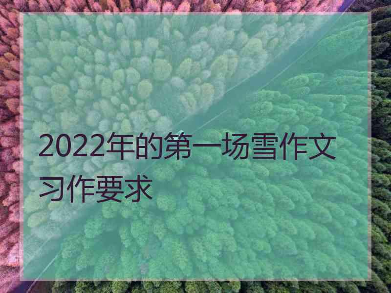 2022年的第一场雪作文习作要求