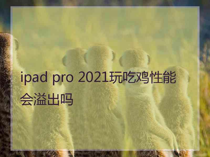 ipad pro 2021玩吃鸡性能会溢出吗