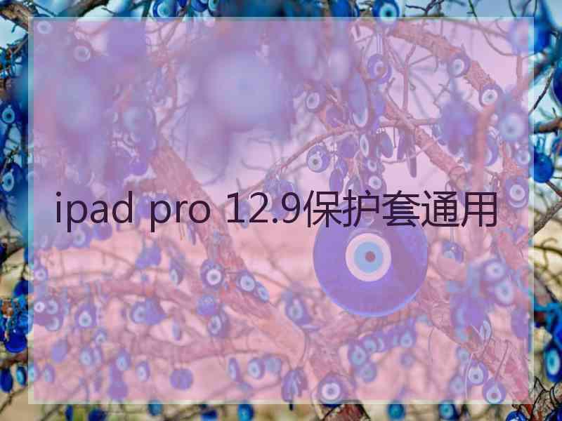 ipad pro 12.9保护套通用