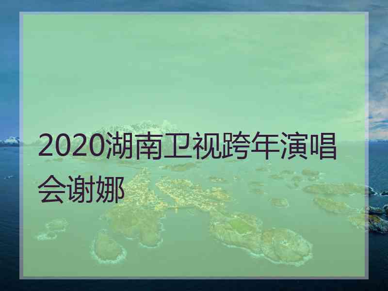 2020湖南卫视跨年演唱会谢娜