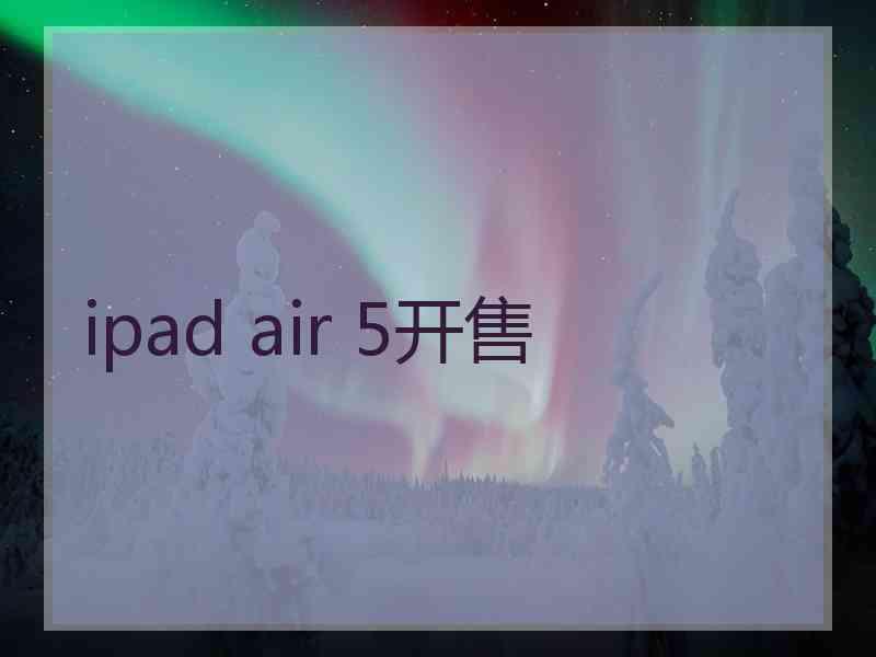 ipad air 5开售