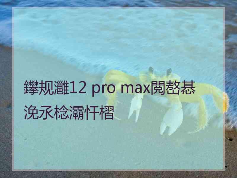 鑻规灉12 pro max閲嶅惎浼氶棯灞忓槢