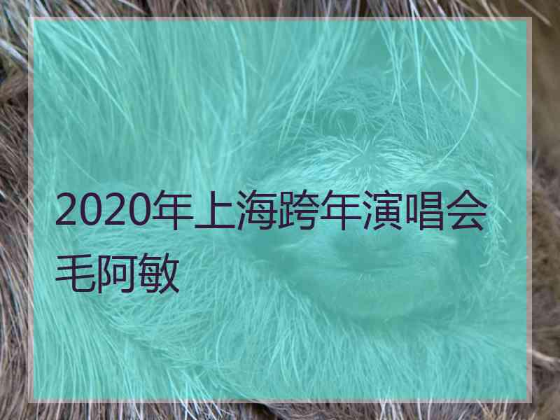 2020年上海跨年演唱会毛阿敏