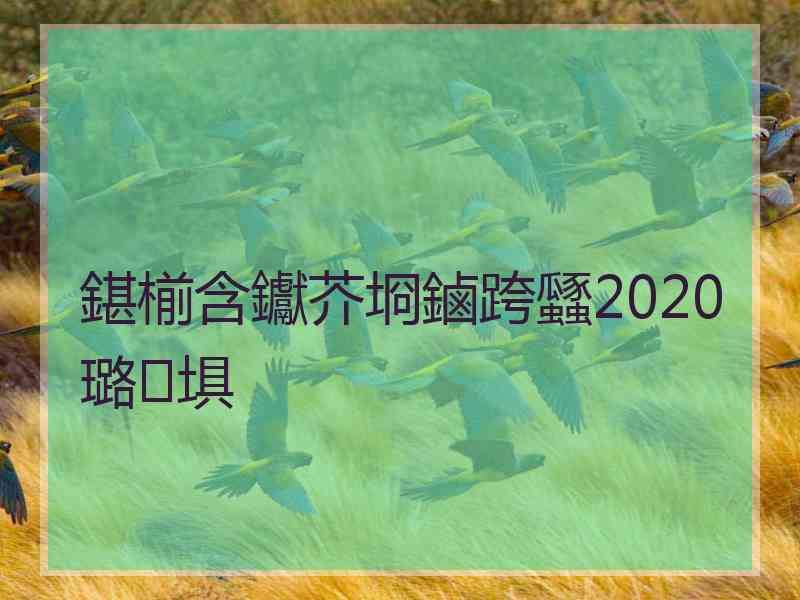 鍖椾含钀芥埛鏀跨瓥2020 璐埧