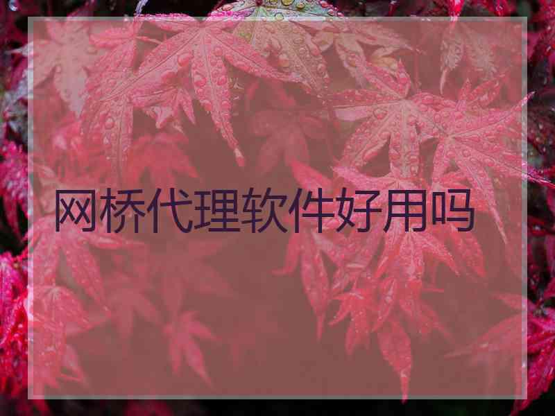 网桥代理软件好用吗