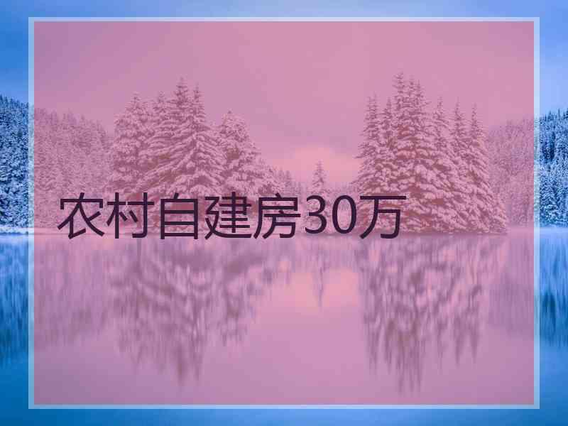 农村自建房30万