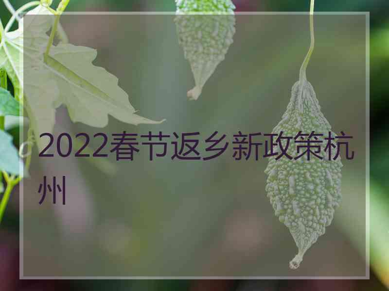 2022春节返乡新政策杭州