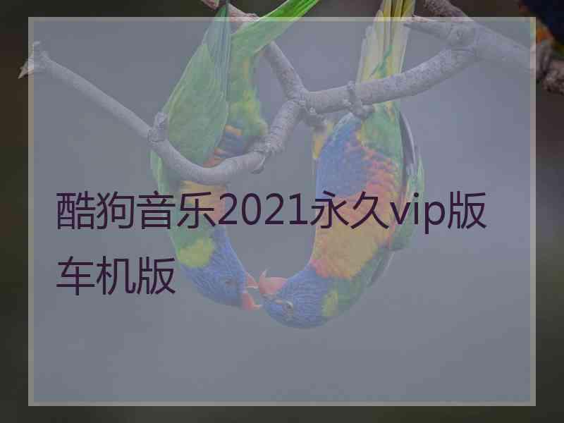 酷狗音乐2021永久vip版车机版