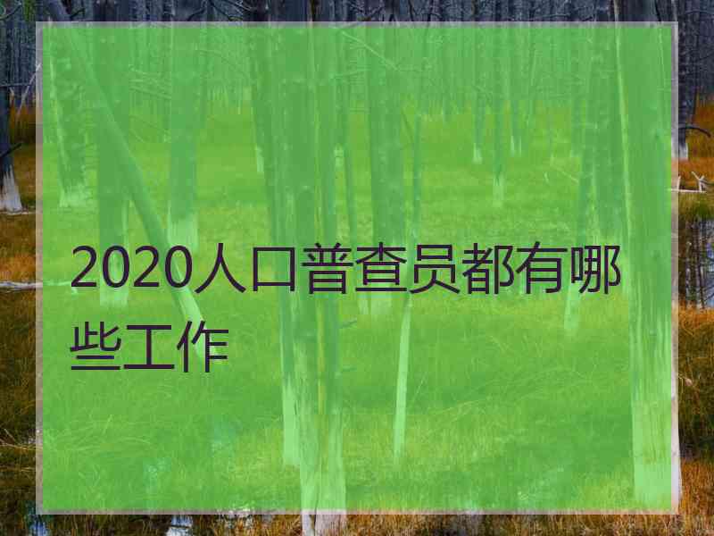 2020人口普查员都有哪些工作