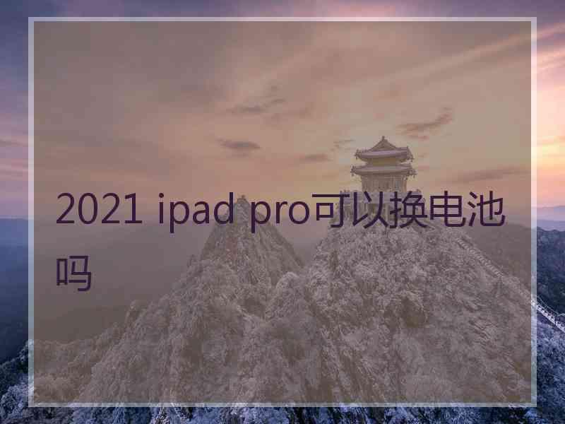 2021 ipad pro可以换电池吗