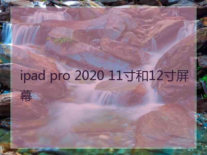 ipad pro 2020 11寸和12寸屏幕