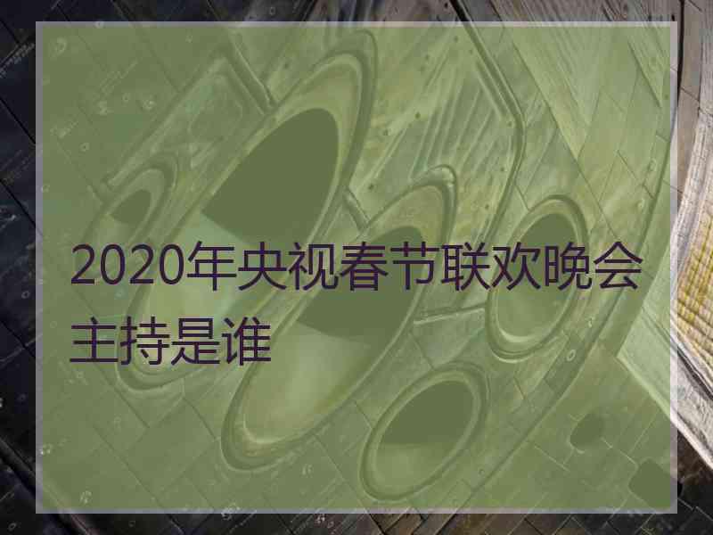 2020年央视春节联欢晚会主持是谁